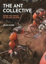 The Ant Collective – Inside the World of an Ant Colony