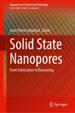 Solid State Nanopores