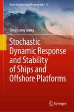 Stochastic Dynamic Response and Stability of Ships and Offshore Platforms