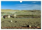 Tibet Das vergessene Land (Wandkalender 2024 DIN A4 quer), CALVENDO Monatskalender