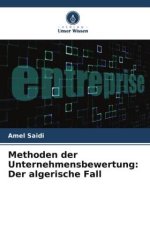 Methoden der Unternehmensbewertung: Der algerische Fall