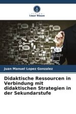 Didaktische Ressourcen in Verbindung mit didaktischen Strategien in der Sekundarstufe