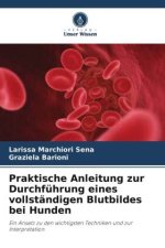 Praktische Anleitung zur Durchführung eines vollständigen Blutbildes bei Hunden