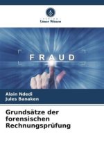 Grundsätze der forensischen Rechnungsprüfung