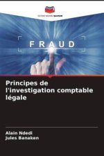 Principes de l'investigation comptable légale