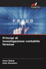 Principi di investigazione contabile forense