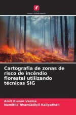Cartografia de zonas de risco de inc?ndio florestal utilizando técnicas SIG