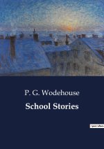 School Stories