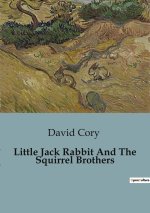 Little Jack Rabbit And The Squirrel Brothers
