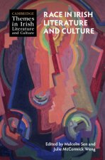 Race in Irish Literature and Culture
