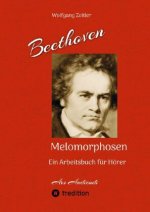 Beethoven - Melomorphosen: Früchte der Musikmeditation. Sichtbar gemachte Informationsmatrix ausgewählter Musikstücke. Gestaltwerkzeuge für Musikhörer
