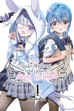 STUDIO APARTMENT GOOD LIGHTING ANGEL V04