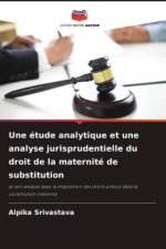 Une étude analytique et une analyse jurisprudentielle du droit de la maternité de substitution