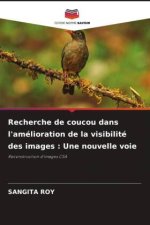 Recherche de coucou dans l'amélioration de la visibilité des images : Une nouvelle voie