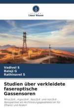 Studien über verkleidete faseroptische Gassensoren