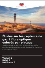 Études sur les capteurs de gaz ? fibre optique enlevés par placage