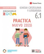 PRACTICA NUEVO ZOZO 6 TRIM CT (COMUNIDAD ZOOM)