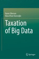 Taxation of Big Data
