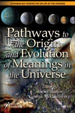 Pathways to the Origin and Evolution of Meanings in the Universe