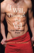 I Will, Through the Veil: Gay Mormon Porn