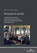 Pensando la nación