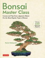 Bonsai Master Class: Lessons and Tips from a Japanese Master (with Over 600 Photos & Diagrams)