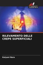 RILEVAMENTO DELLE CREPE SUPERFICIALI