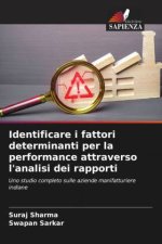 Identificare i fattori determinanti per la performance attraverso l'analisi dei rapporti