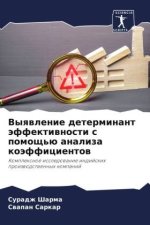 Vyqwlenie determinant äffektiwnosti s pomosch'ü analiza koäfficientow