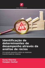 Identificaç?o de determinantes de desempenho através da análise de rácios