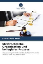 Strafrechtliche Organisation und kollegialer Prozess