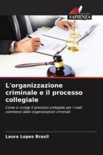 L'organizzazione criminale e il processo collegiale