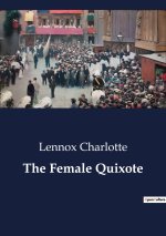 The Female Quixote