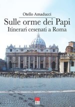 Sulle orme dei Papi: Itinerari cesenati a Roma