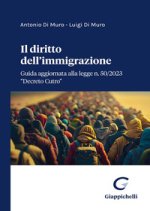 diritto dell'immigrazione