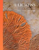 The Lives of Lichens – Successful Miniature Ecosystems
