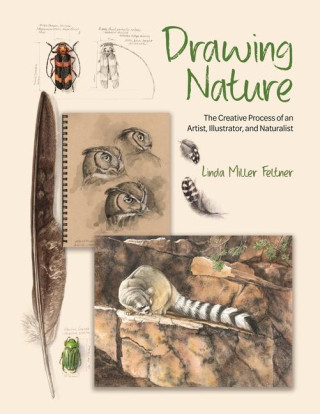 Drawing Nature – The Creative Process of an Artist, Illustrator, and Naturalist