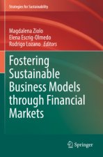 Fostering Sustainable Business Models through Financial Markets