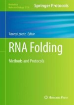 RNA Folding