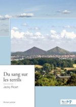 Du sang sur les terrils