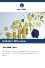 Audit-Konto