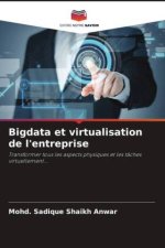 Bigdata et virtualisation de l'entreprise