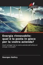 Energia rinnovabile: qual ? la posta in gioco per la vostra azienda?