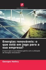 Energias renováveis: o que está em jogo para a sua empresa?