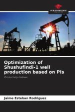 Optimization of Shushufindi-1 well production based on PIs