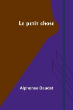 Le petit chose