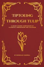 Tiptoeing Through Tulip