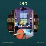 Optimistic Interiors: Oliver Furth