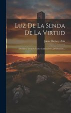 Luz De La Senda De La Virtud: Desiderio Y Electo En El Camino De La Perfeccion...