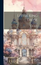 Little King Davie